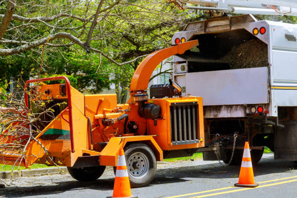 Monona, WI Tree Services Company